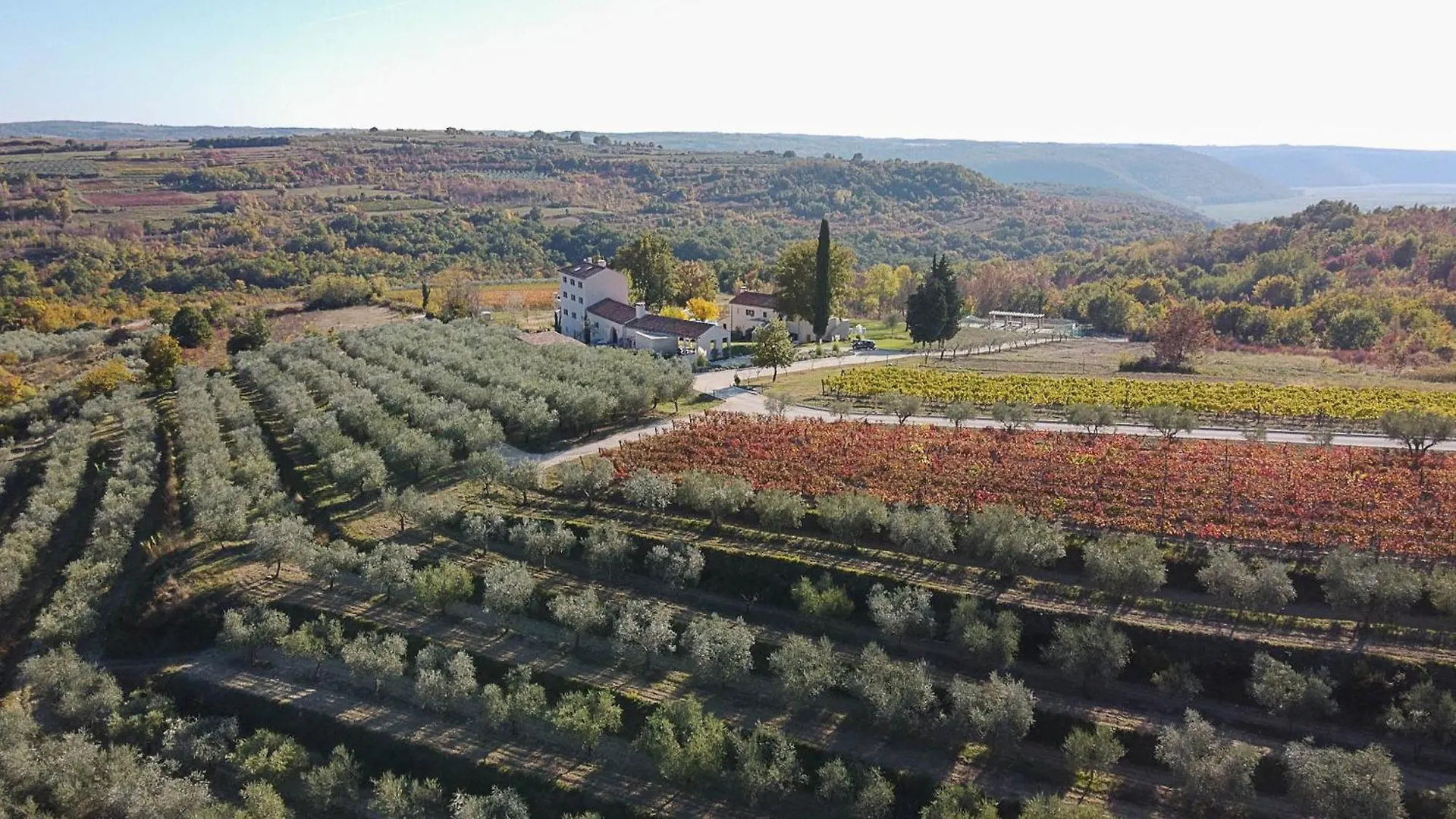 Tranquil Istria Estate Palazio Clai Winery 8 Bedrooms Spa Heated Pool Groznjan Croatia